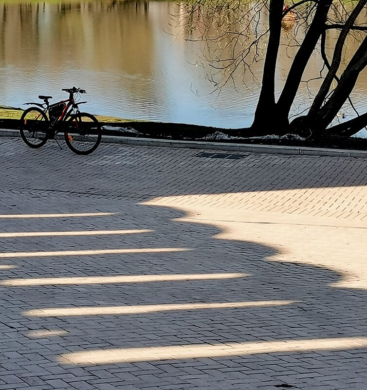 Формы и тени. - Любимова Ольга 