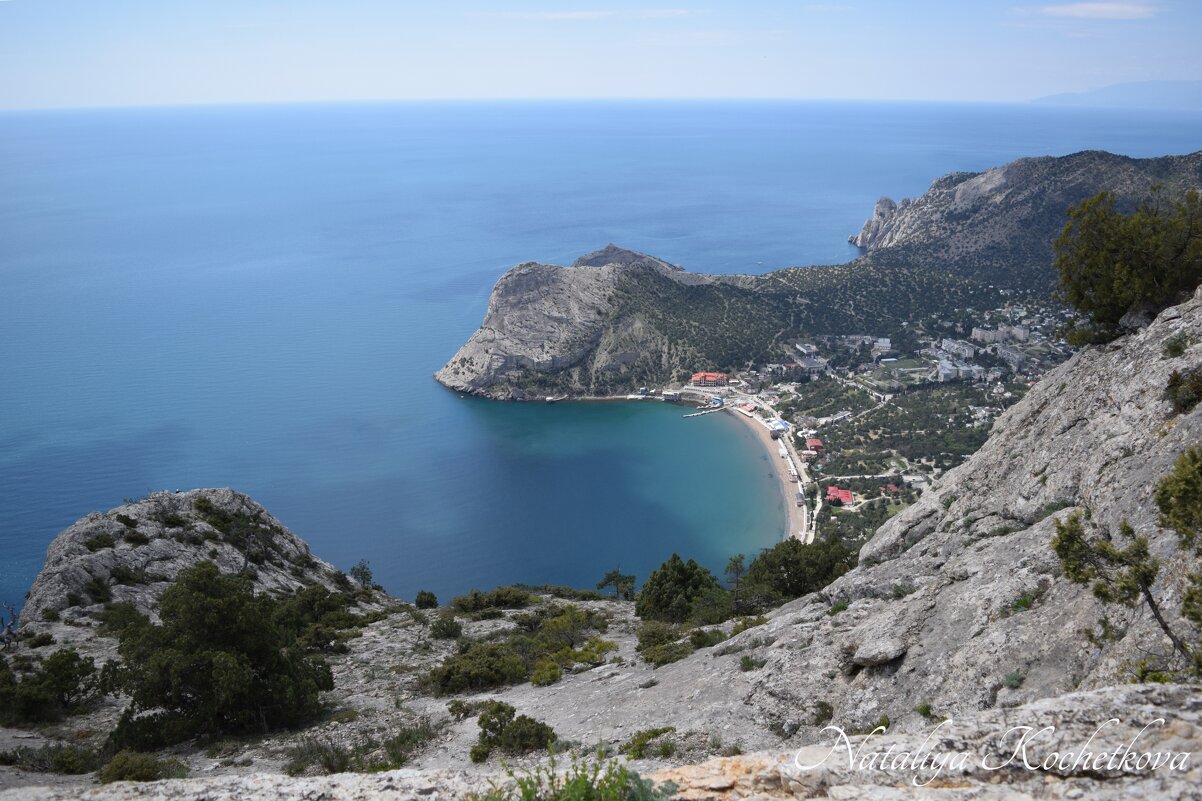 Природа Крыма - Amazing Cosmea