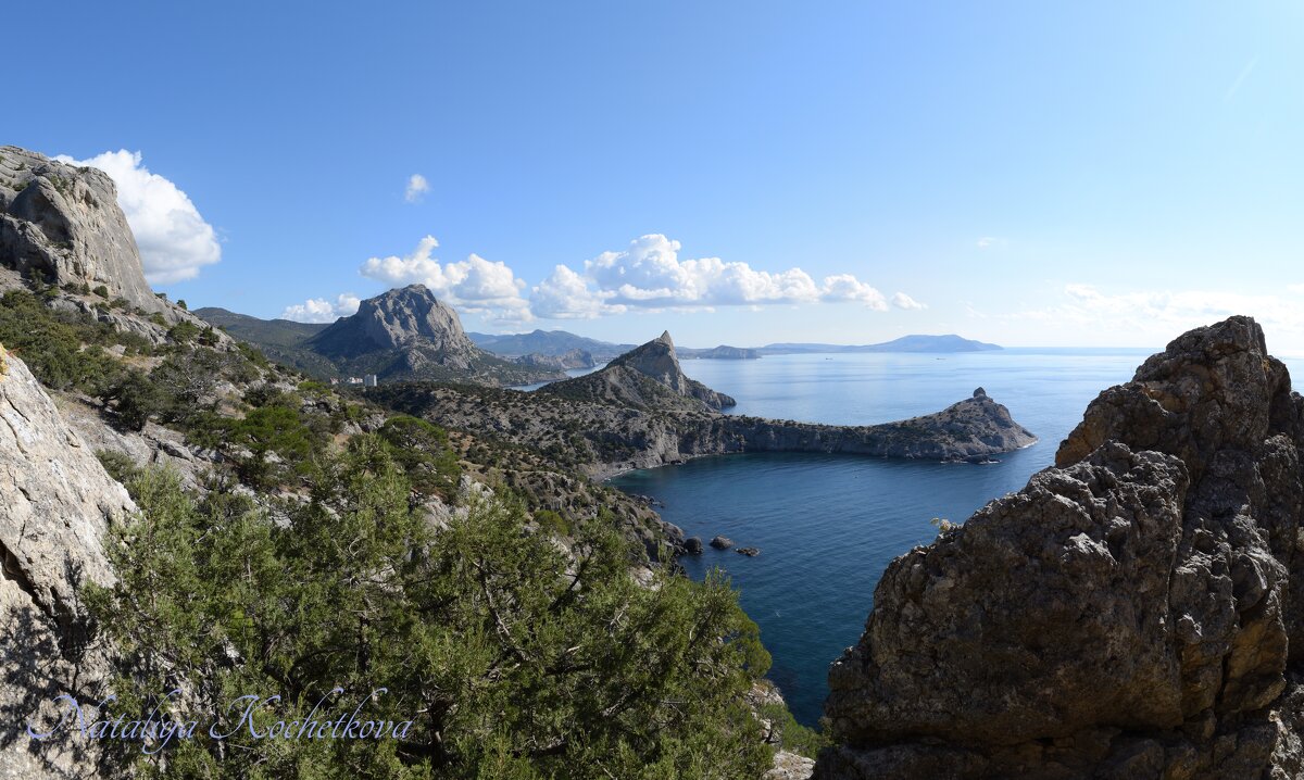 Природа Крыма - Amazing Cosmea