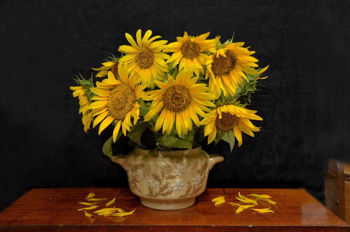 *** - Надежда Куркина 