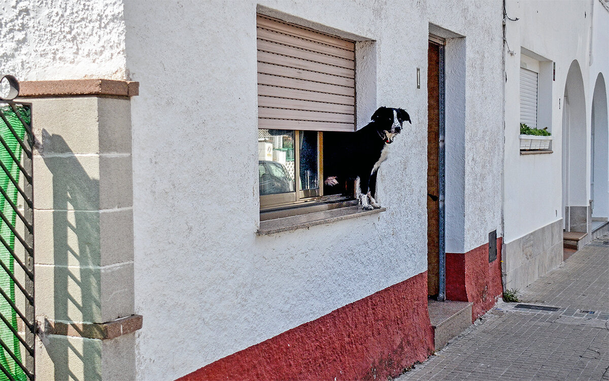 Всегда на страже - Alexandеr P
