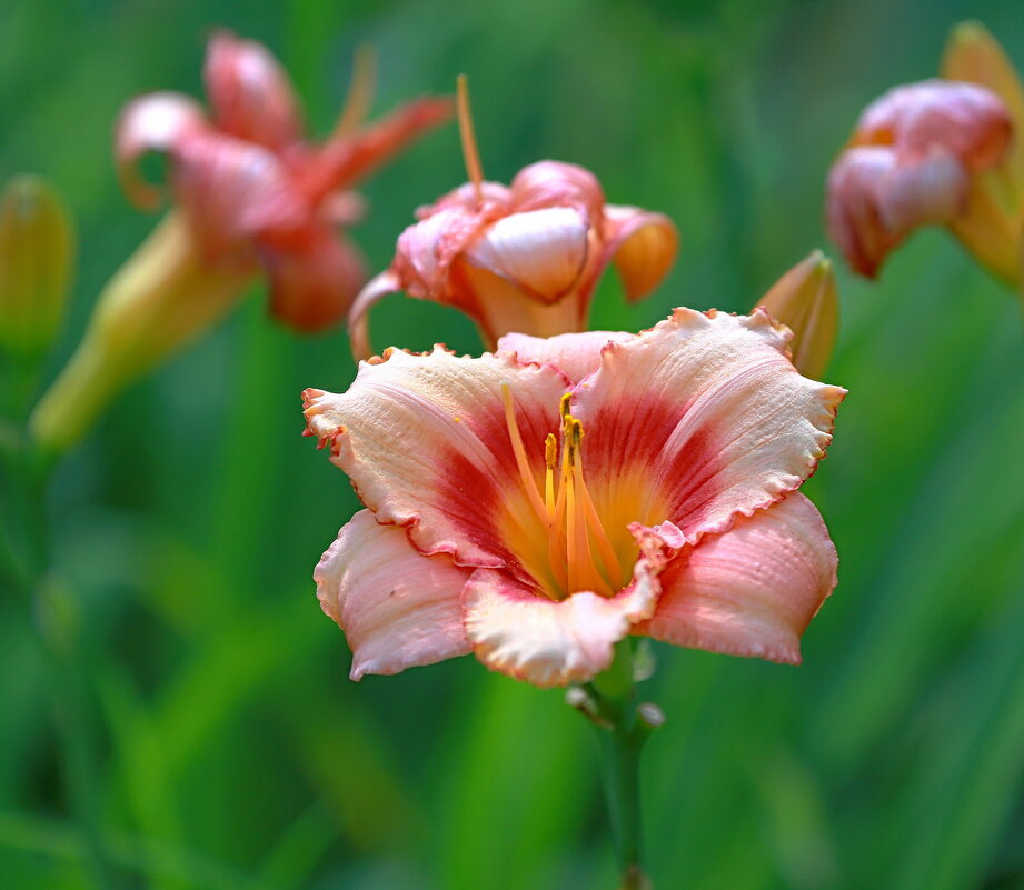 про июль - Andrey Bragin 