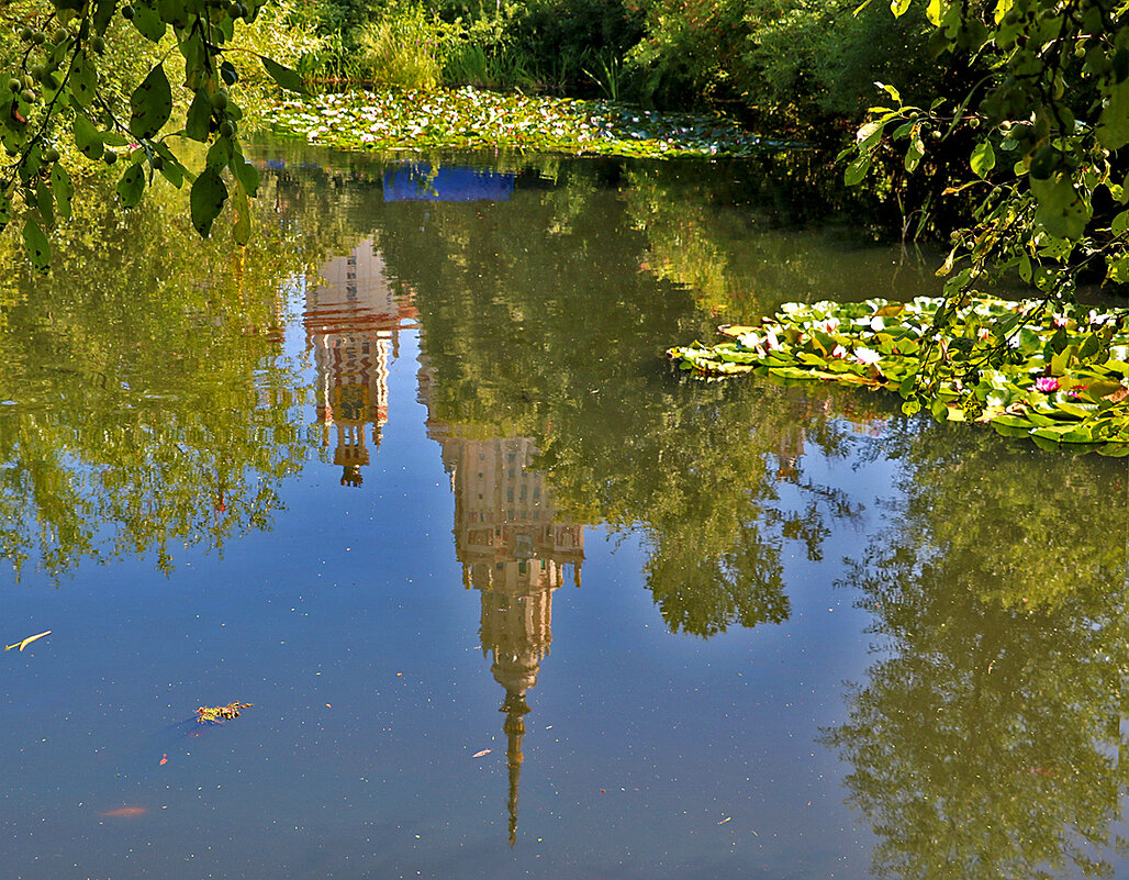 Отражение МГУ в пруду ботанического сада - Светлана 