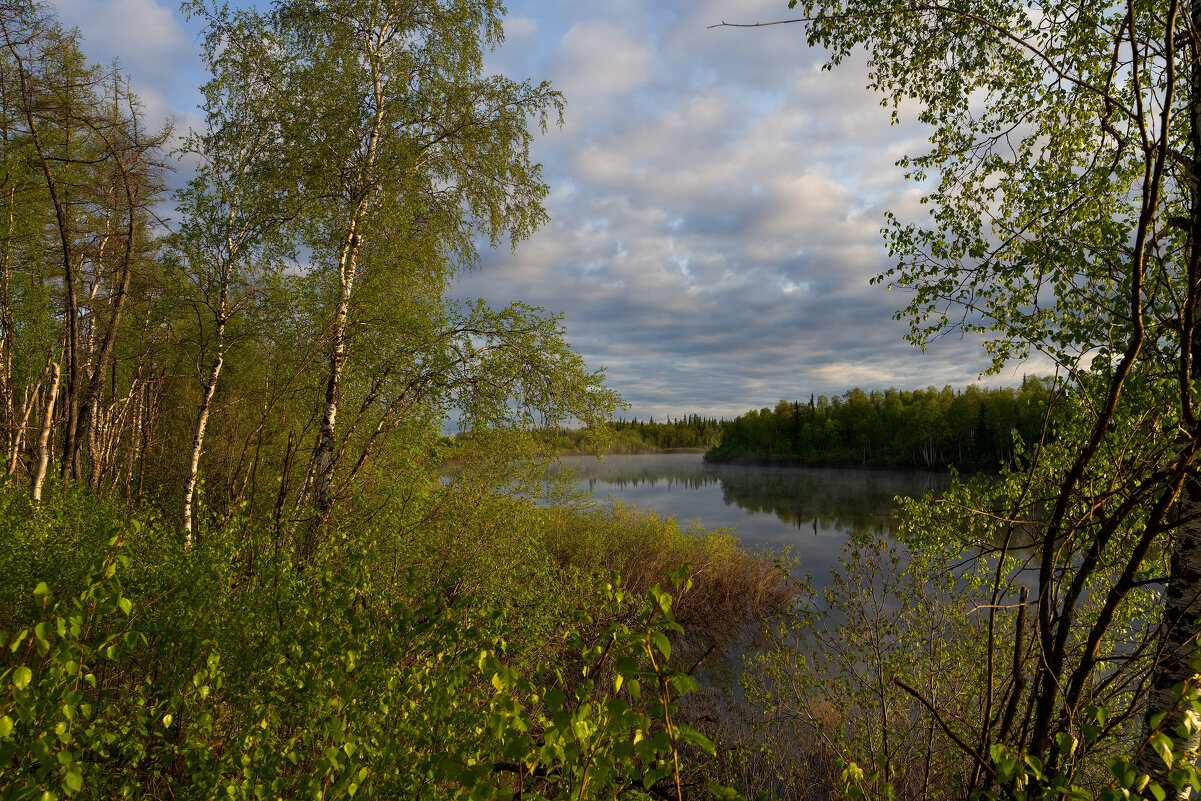 Северная природа - Виктория 
