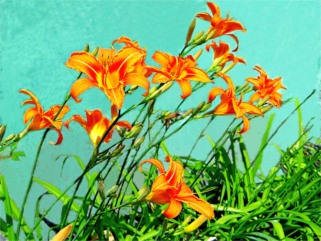 ЛЕТО - Юрий Владимирович 34