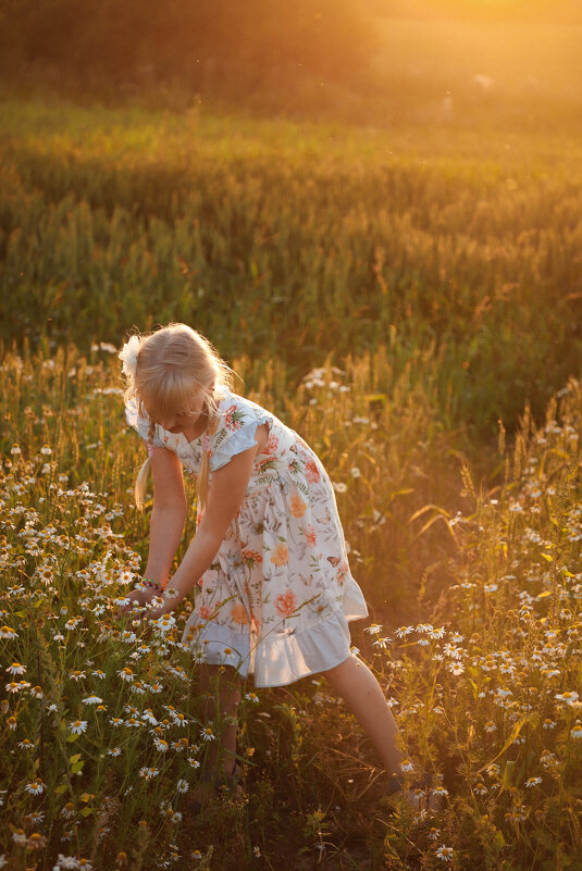 ... - Елена Сиднина