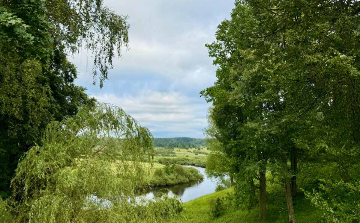 середина лета - Сергей Б.