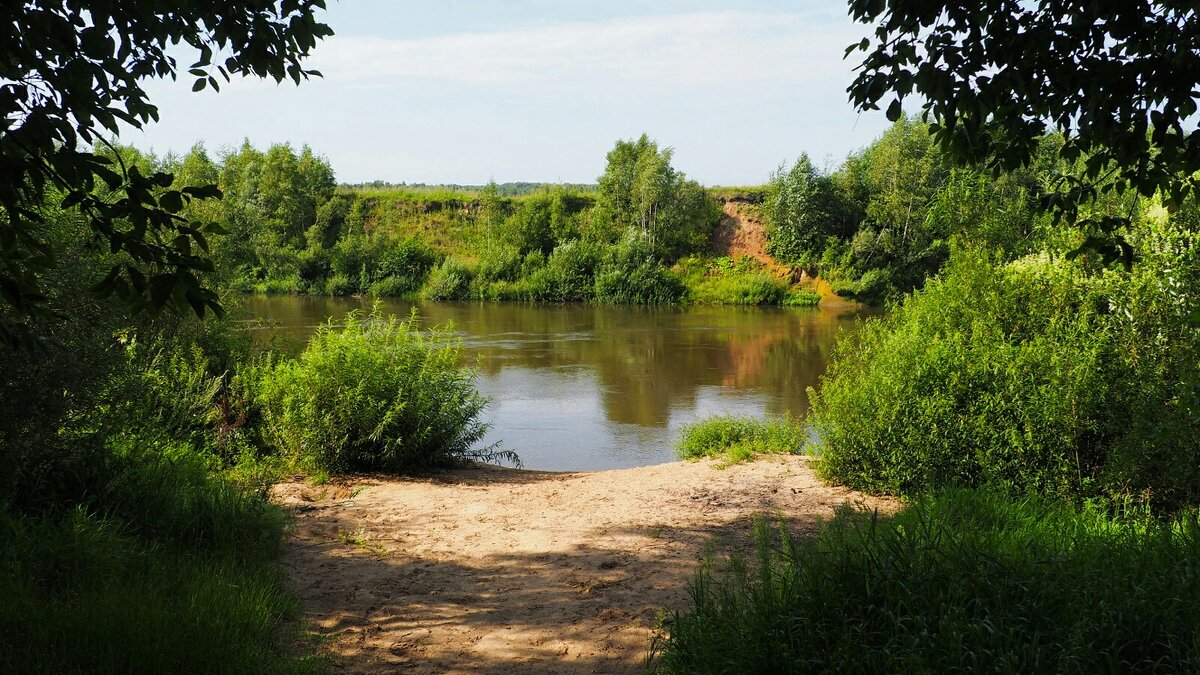 Живописные берега Днепра. - Милешкин Владимир Алексеевич 