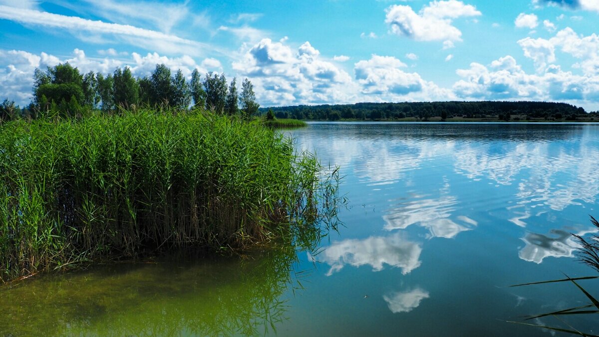 Про озёра (репортаж из поездки по области). - Милешкин Владимир Алексеевич 