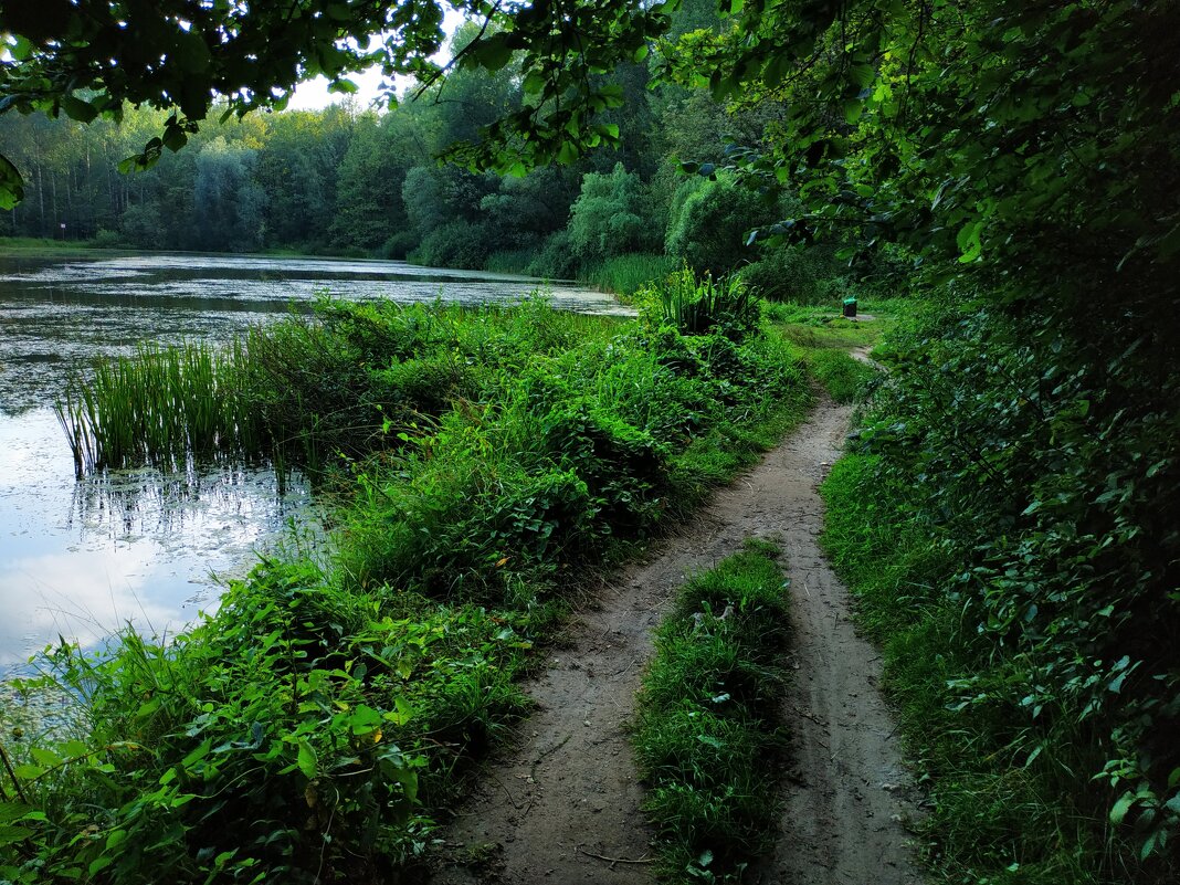 * * * - Андрей Лукьянов