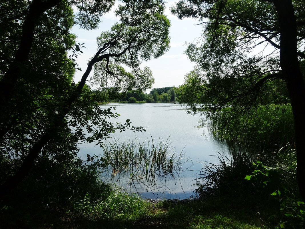 Парк Покровское-Стрешнево - Лидия Бусурина