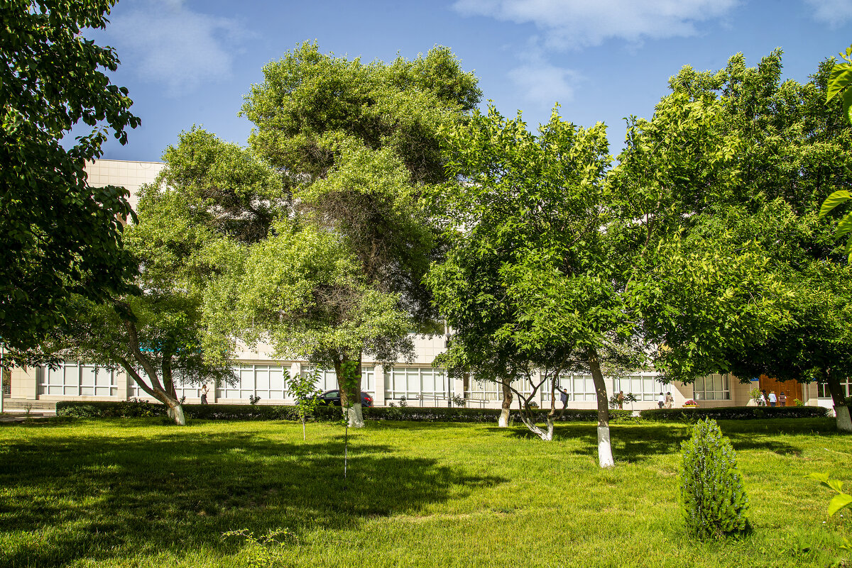 Актау - Анатолий Чикчирный