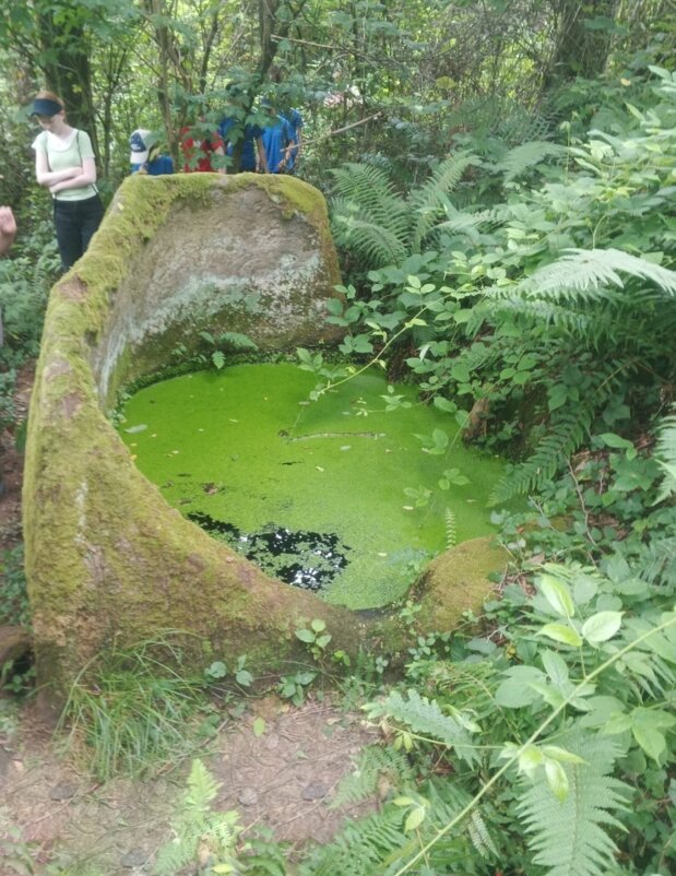 Дольмены Сочи - Tata Wolf