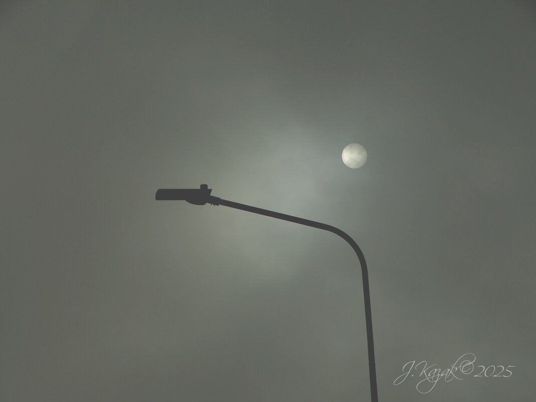 Утро туманное... - Елена Kазак (selena1965)