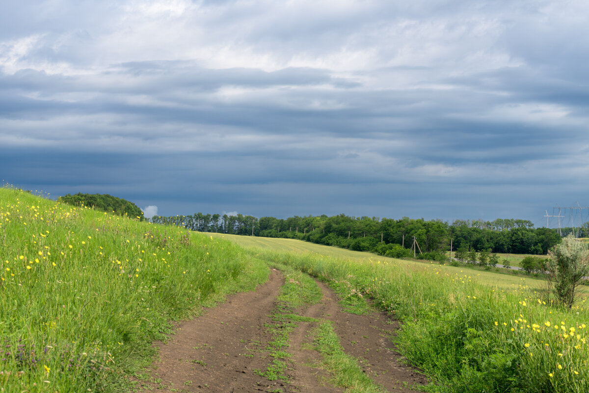 Окрестности - Игорь Сикорский