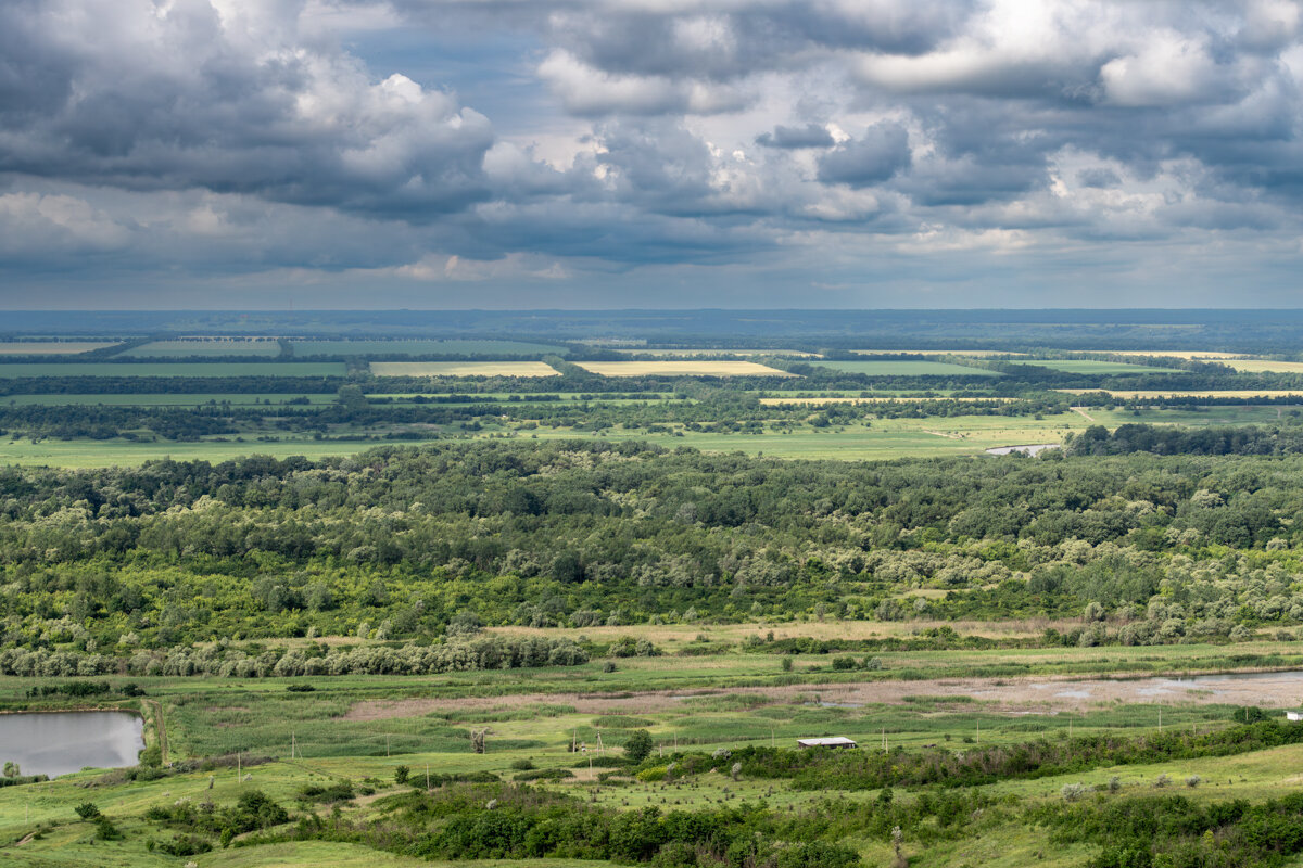 Окрестности - Игорь Сикорский