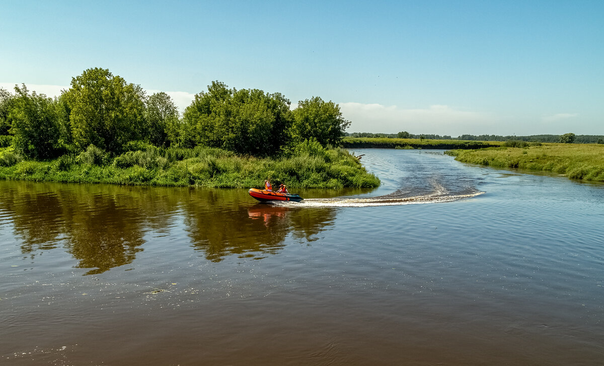 Жара июль 2 - Андрей Дворников Жара июль 2 - Андрей Дворников