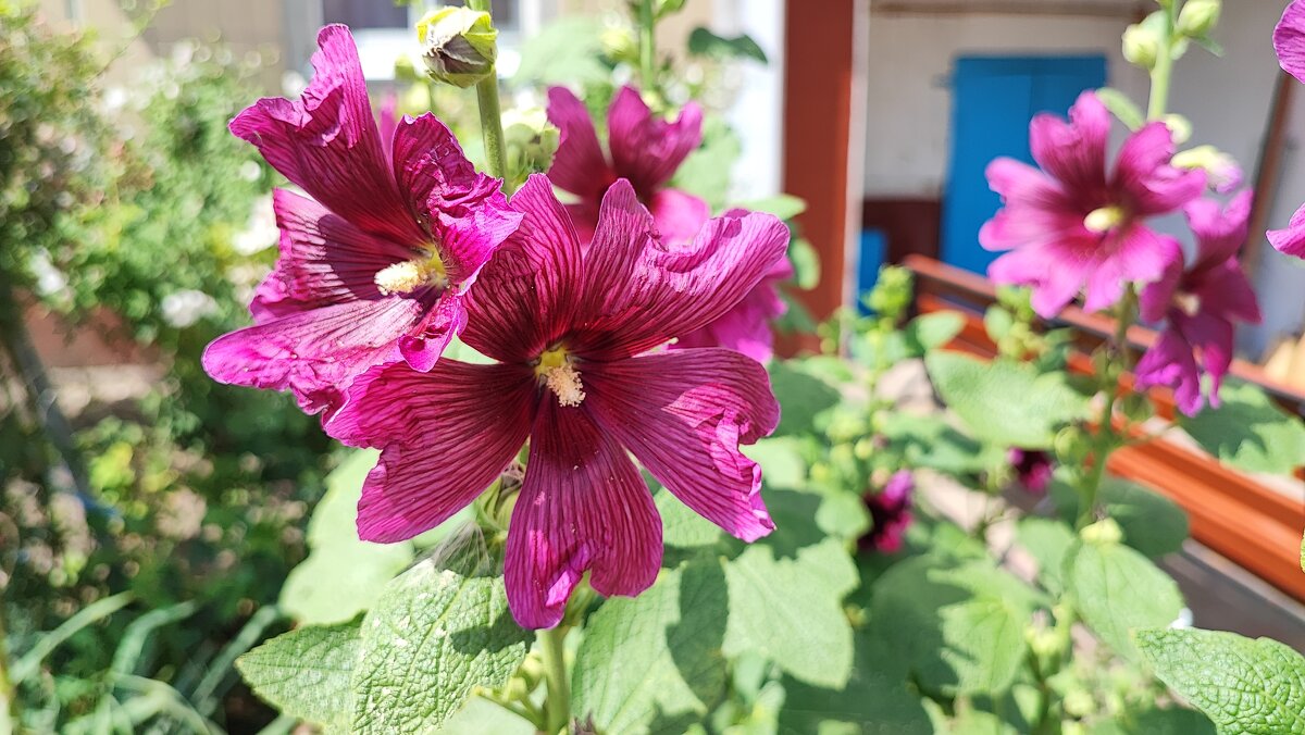 ,,, - Сергей Тимоновский