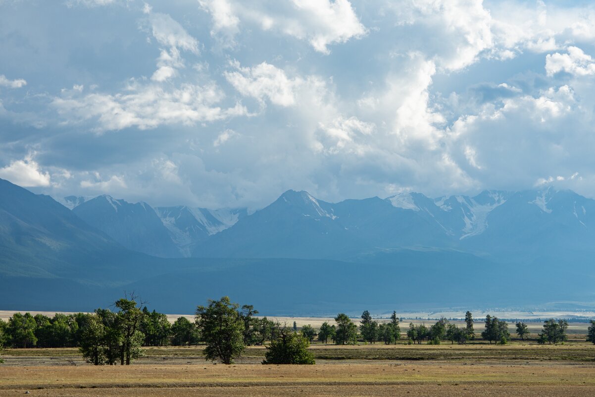 *** - Николай Чекалин
