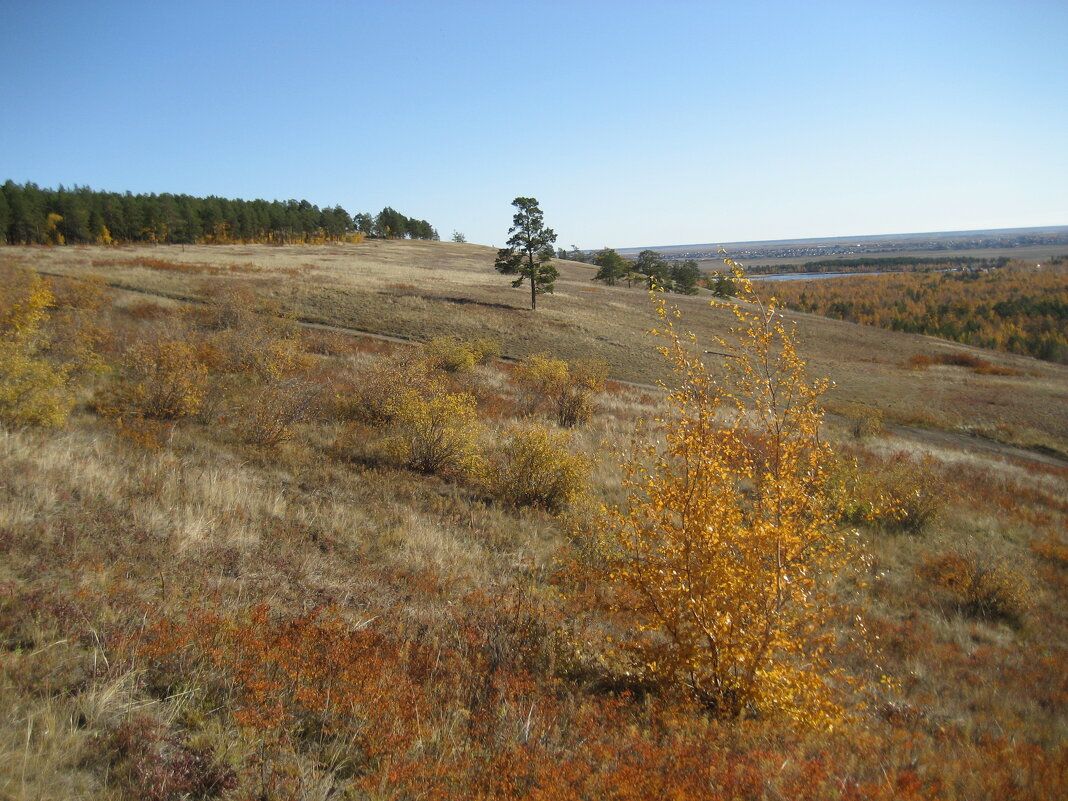 Осень - Anna Ivanova