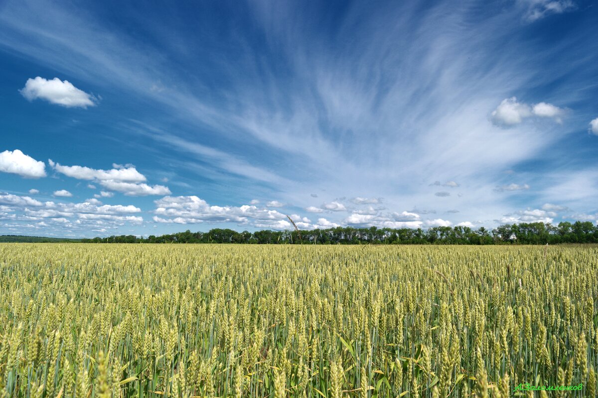 Под небесами лета.... - Андрей Заломленков