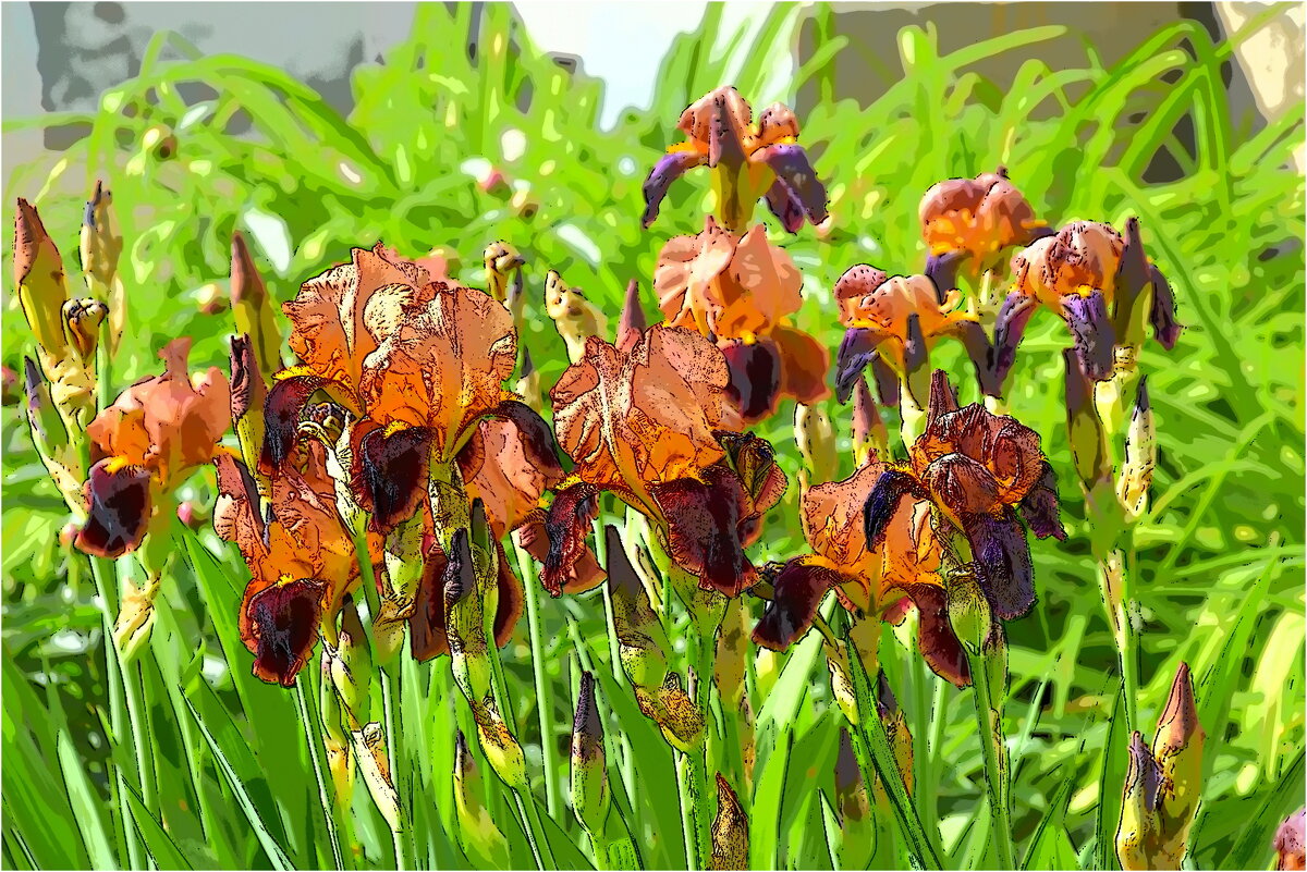 ЭТЮД - Юрий Владимирович 34