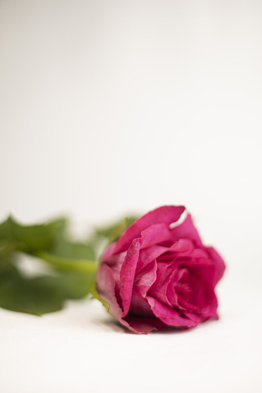 :) - Анастасия Фотографовна