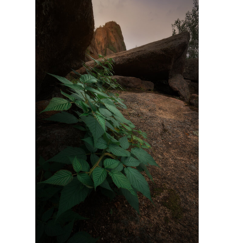 * - Александр Иванов