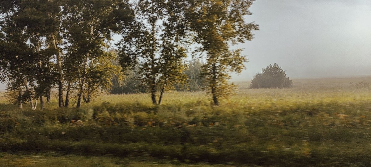 Из окна автомобиля - Ильич -