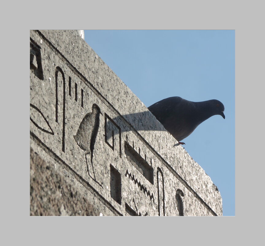 оживший иероглиф - sv.kaschuk 