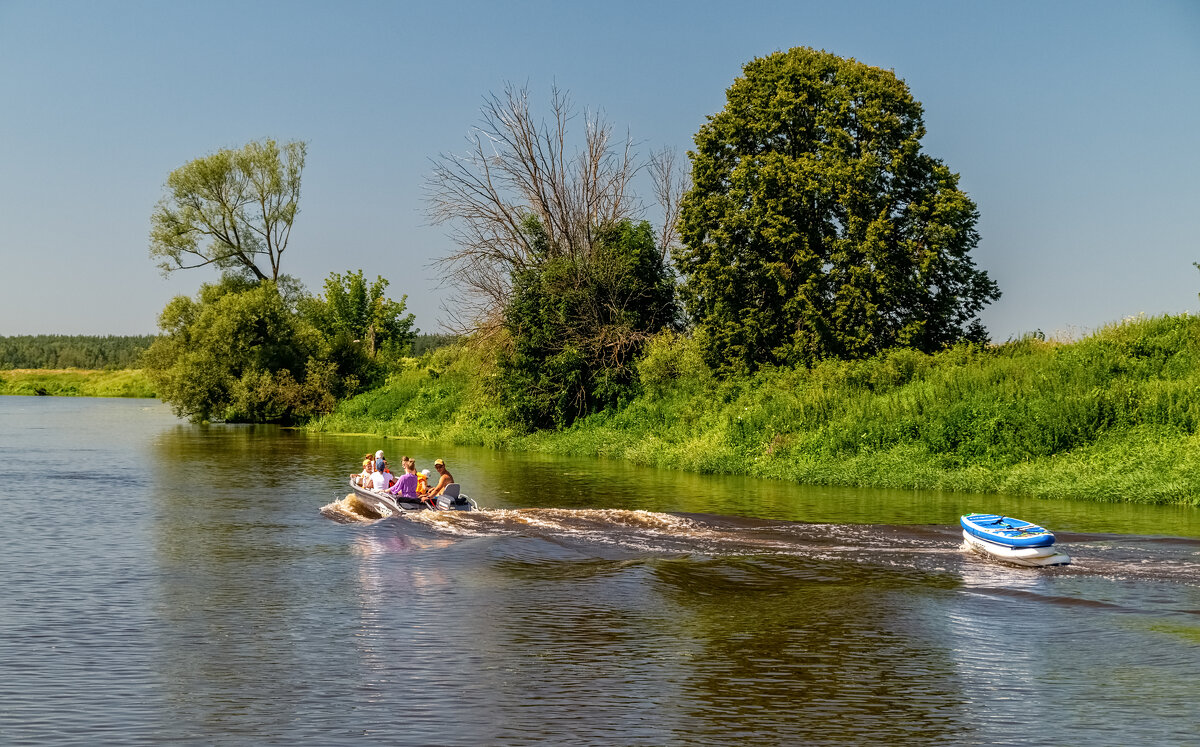Жара Июль 5 - Андрей Дворников