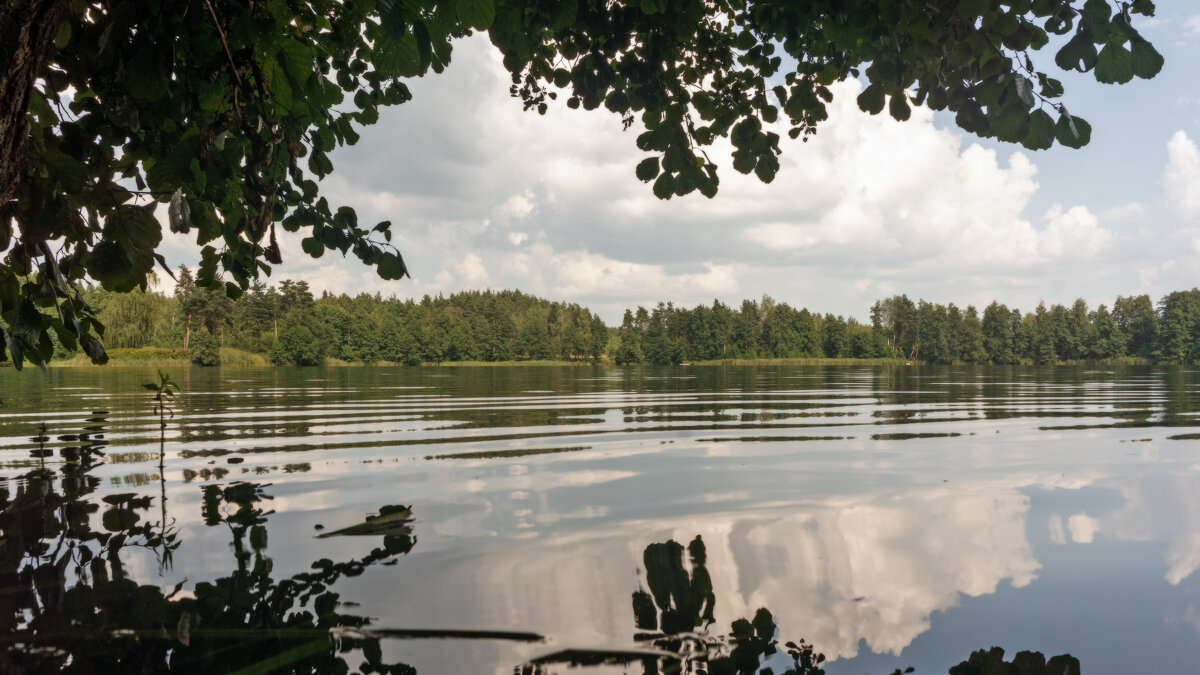 Лето у воды - sorovey Sol