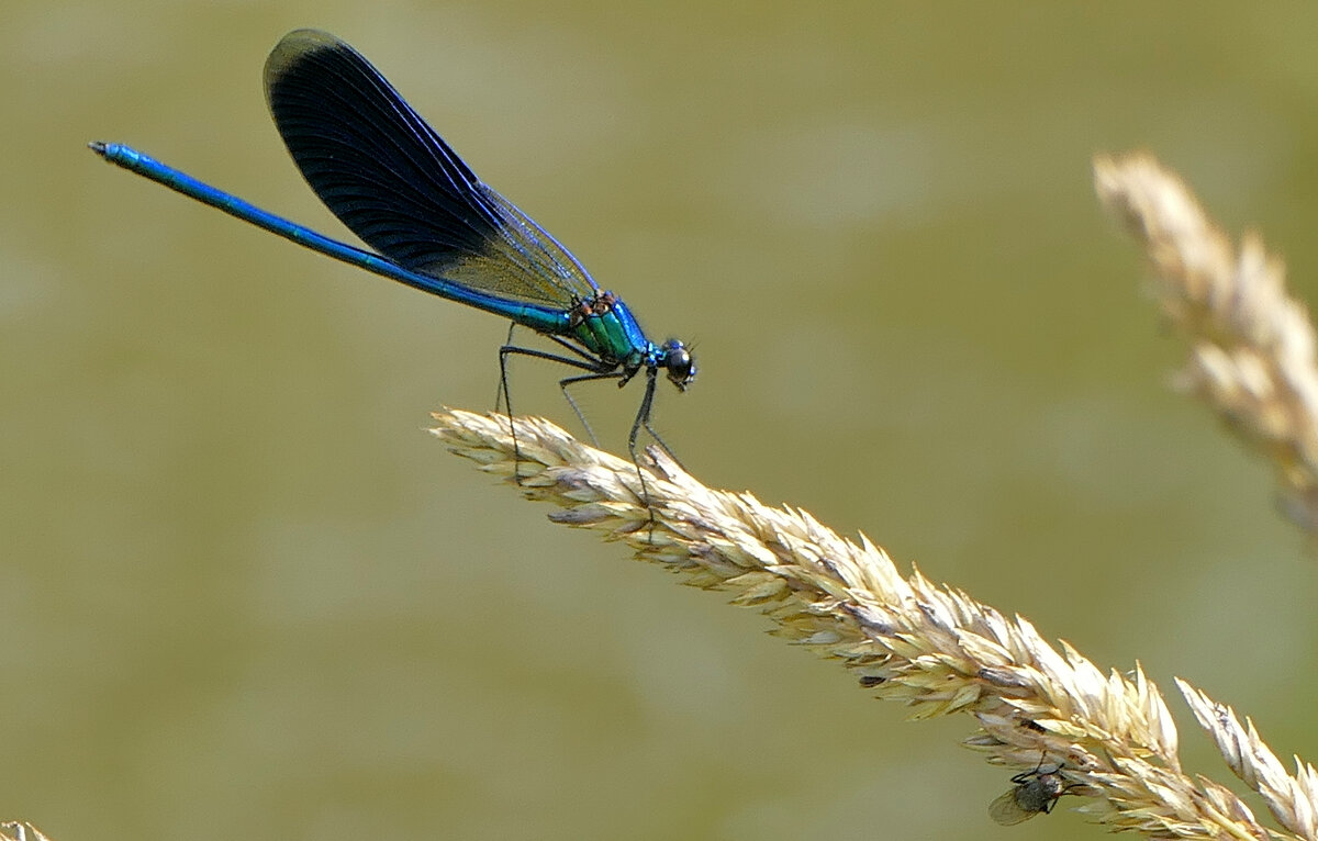 из вчерашней съемки 3 - Александр Прокудин