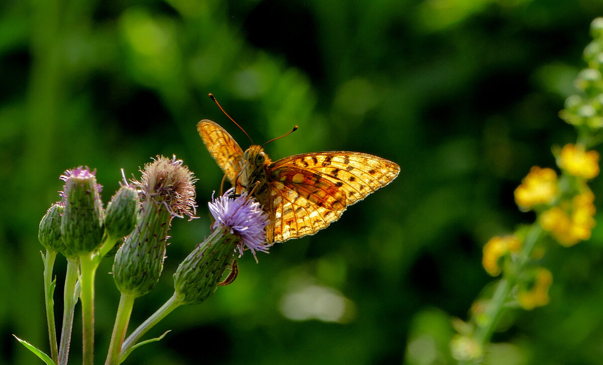 из вчерашней съемки 4 - Александр Прокудин