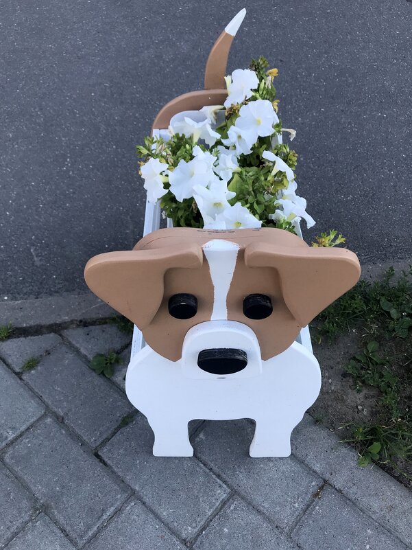 вазон - zavitok * вазон - zavitok *