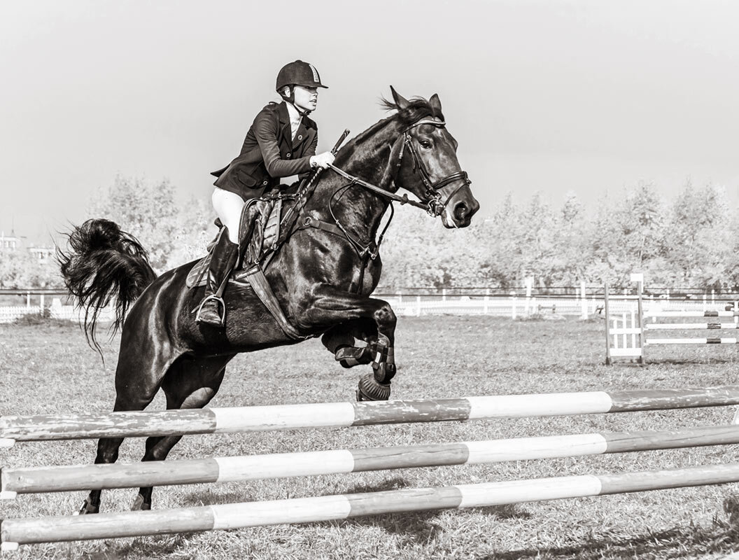 Конкур - SanSan 