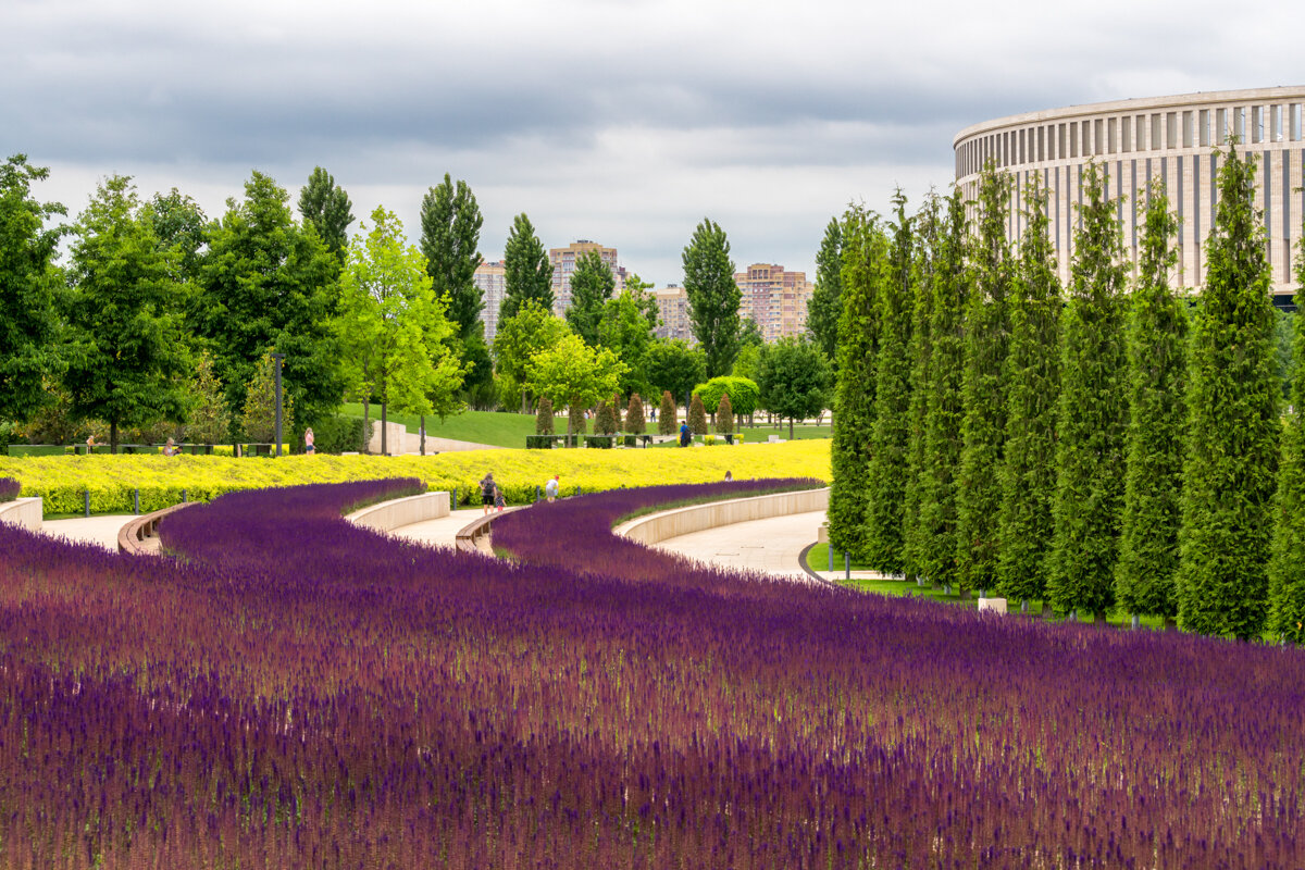 Парк Галицкого - Игорь Сикорский