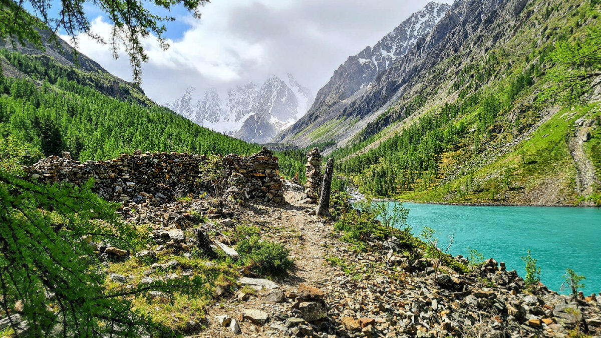 Вход - Виктор Фоменко