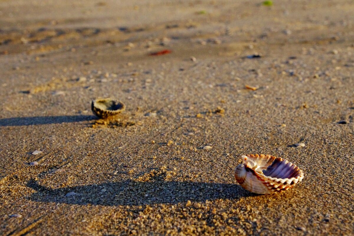 Утро на берегу моря - Сергей Швечков Утро на берегу моря - Сергей Швечков