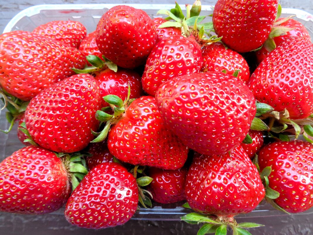 Клубничка - Наталья 