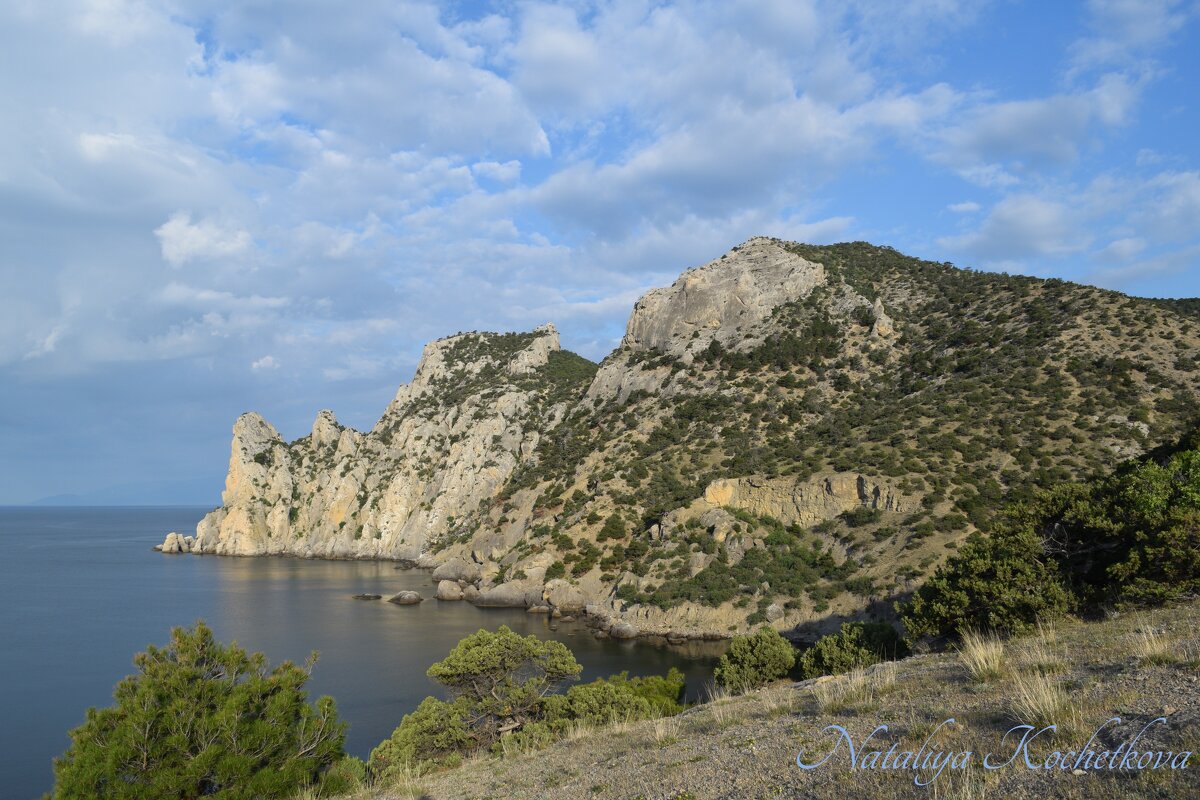 Природа Крыма - Amazing Cosmea