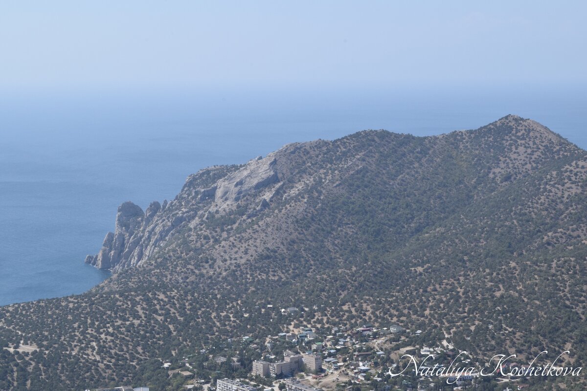 Природа Крыма - Amazing Cosmea