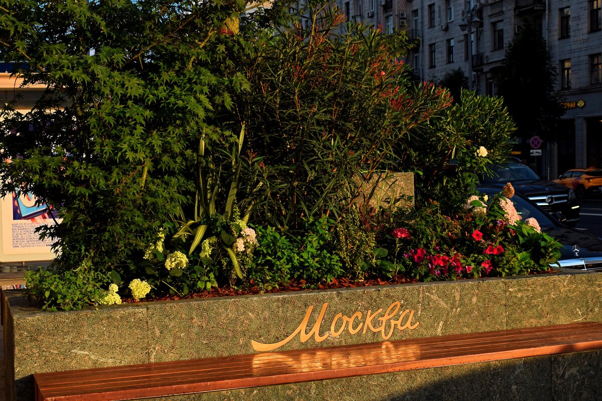 Вечерняя Москва. - Татьяна Помогалова