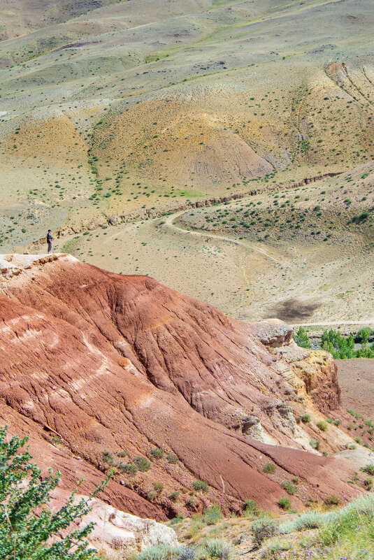 *** - Николай Чекалин