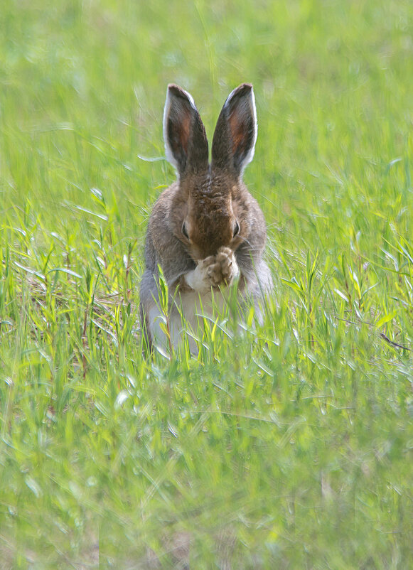 Спаси и сохрани, Господи! - Михаил Белоусов