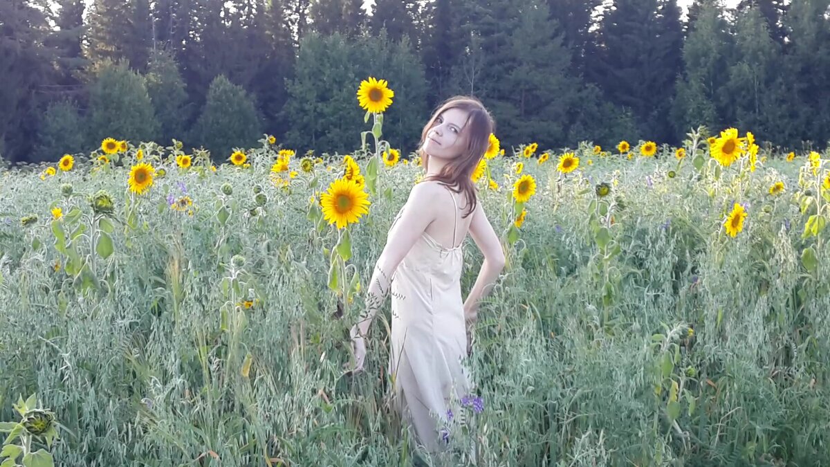 Лето в солнце и расцвете - Светлана Лапка