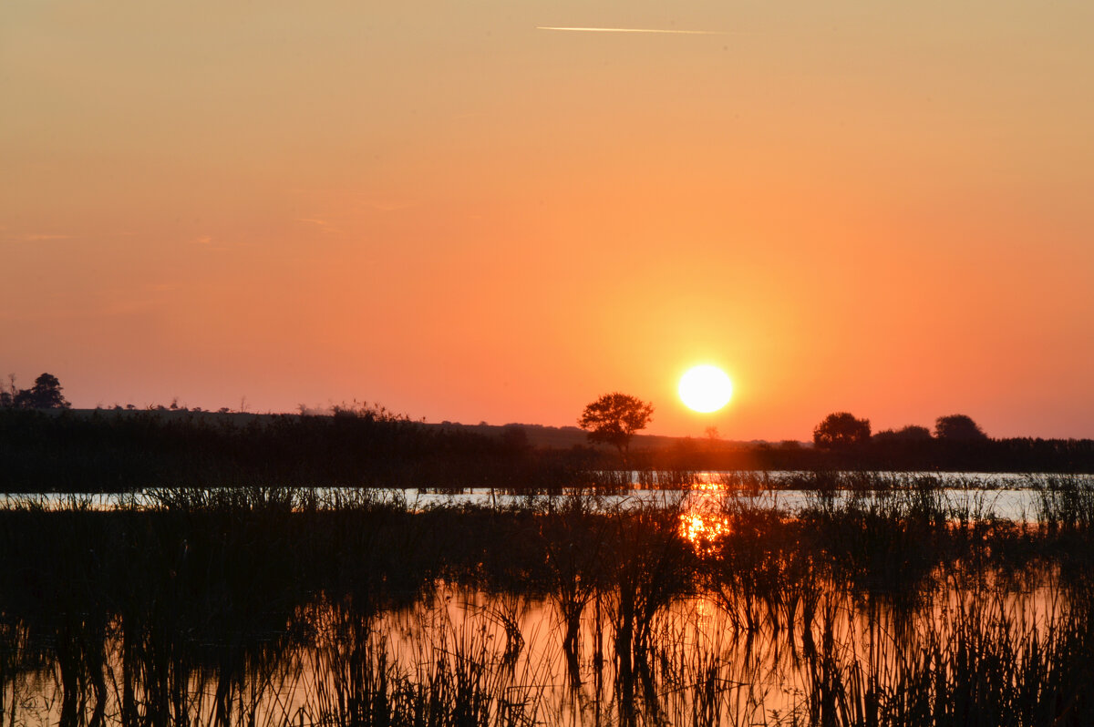 *** - Надежда Куркина 