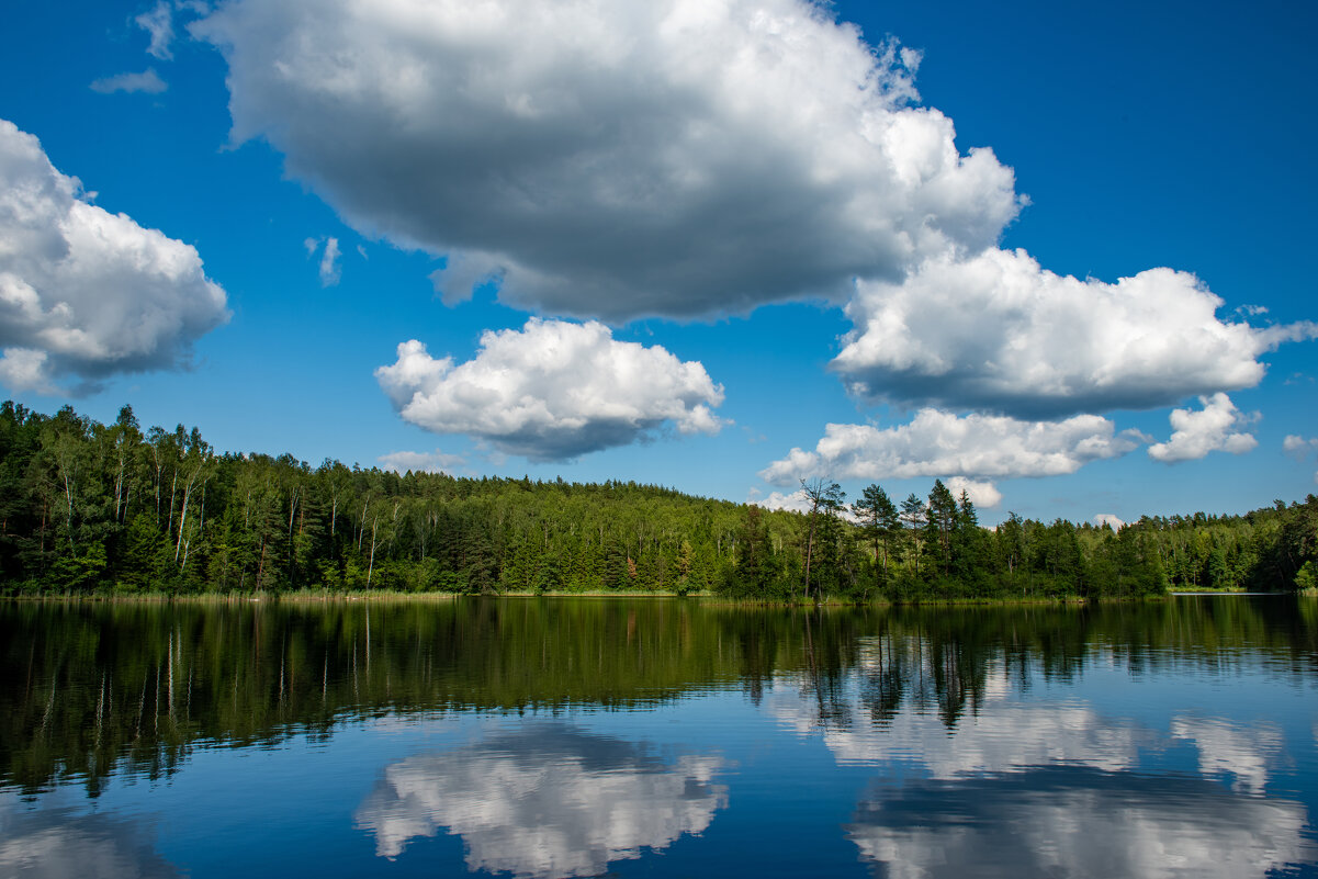 Маленькая Глубелька - Александр Мезенцев