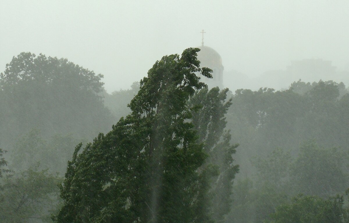 Весна с балкона... - Syntaxist (Светлана) Весна с балкона... - Syntaxist (Светлана)