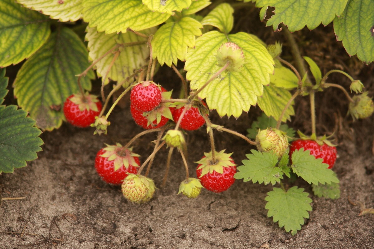 Последний день лета 2013 - Андрей 